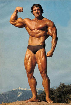 Arnold Schwarzenegger - bodybuilder